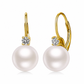 ⏳Spécial à durée limitée⏰Élégantes boucles d'oreilles pendantes en fausses perles et zircone cubique🤍👂