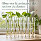 ⏳Spécial à durée limitée⏰Set de vases tubes à essai en verre transparent🧪💐